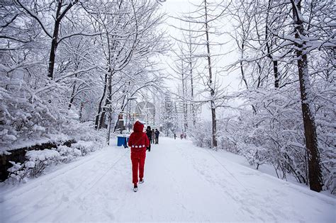春天里的那场雪_关于下雪的作文550字[精选4篇]