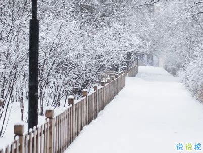 下雪了心情说说简短（共计99句）