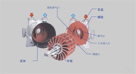 水环式真空泵工作原理