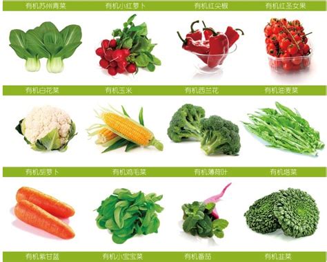 碱性蔬菜有哪些品种大全