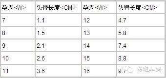 胎儿臀顶长度参照表