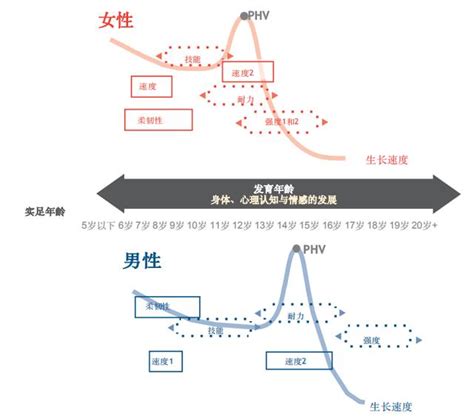 女性过敏体质怎么备孕