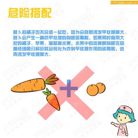备孕的饮食规划