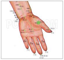 手掌后白肉际穴