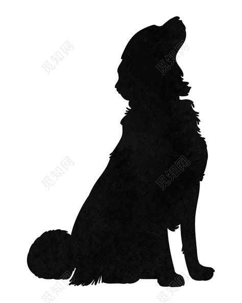 黑狗-小动物作文350字【通用8篇】