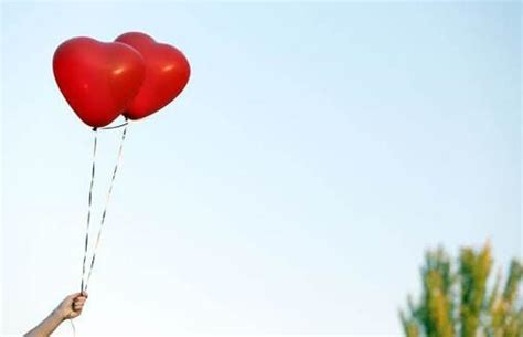 《世界冠军丹尼》-读后感500字(共5篇)