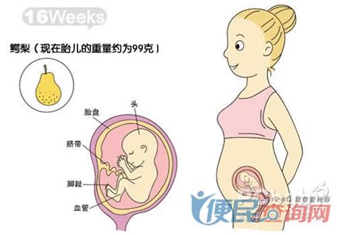 孕期胎儿正常发育的表现