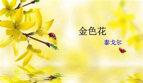 我变成了一朵云-想象作文600字(摘抄4篇)