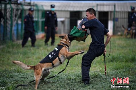 中国警犬训练基地