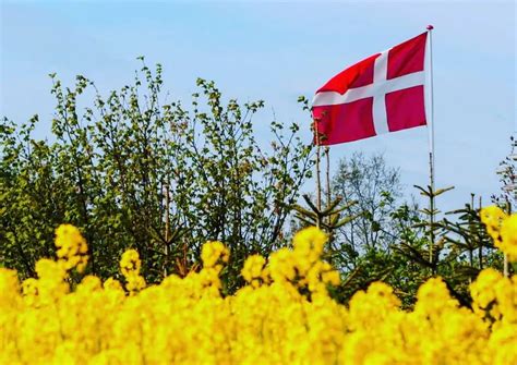 丹麦允许中国留学生入境吗