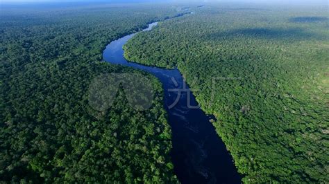 亚马逊雨林图片