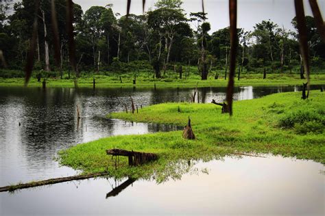 亚马逊雨林纪录片
