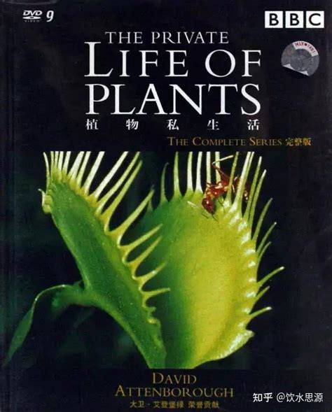 关于植物生长的纪录片