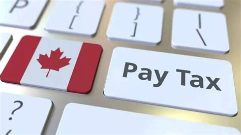 加拿大留学生报税一年多少钱配图