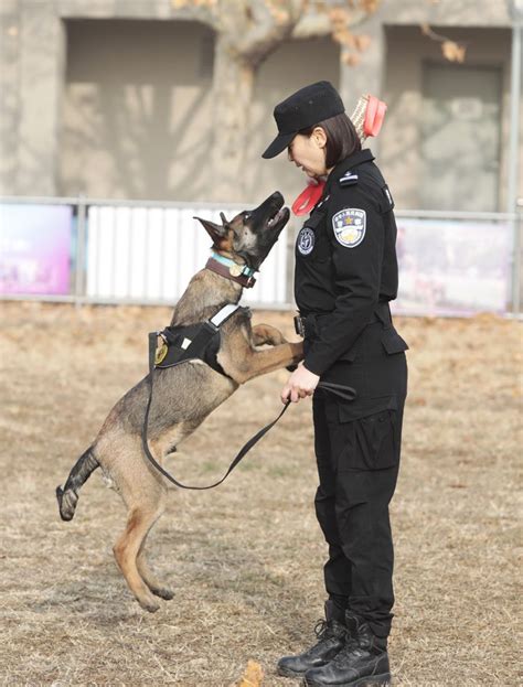北京市警犬训练基地