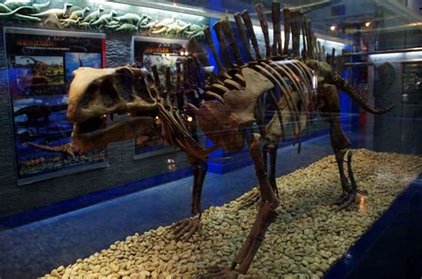 北京恐龙化石博物馆
