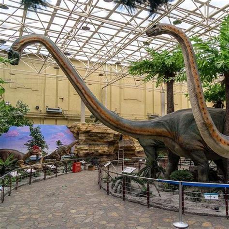 北京恐龙博物馆官网