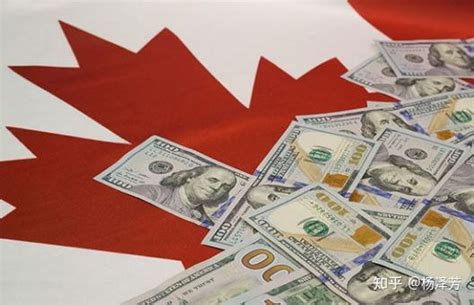 去加拿大签证多少钱