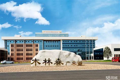 江西吉安木林森招聘