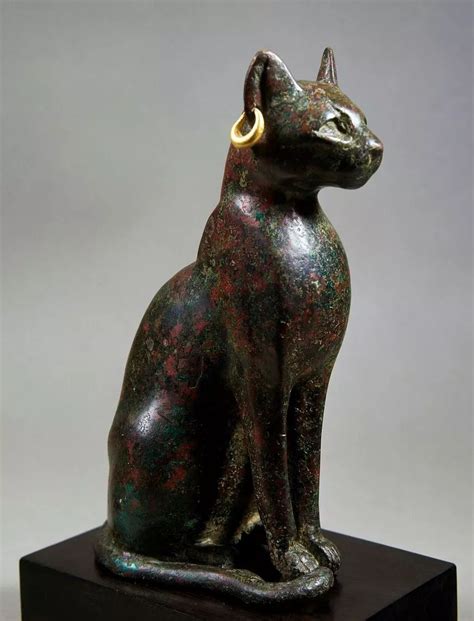 埃及猫神