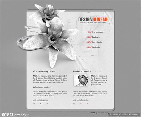 外国花瓣设计网站