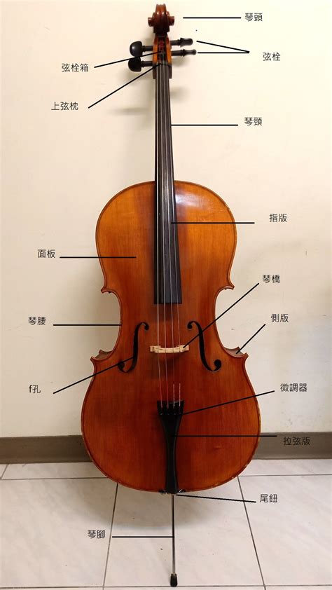大提琴英文