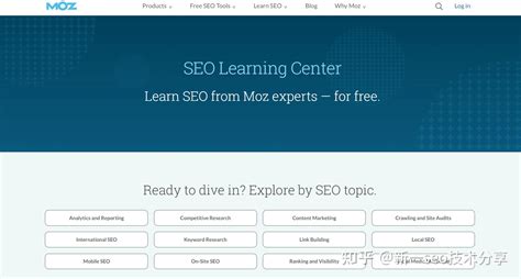 学习seo的网站配图
