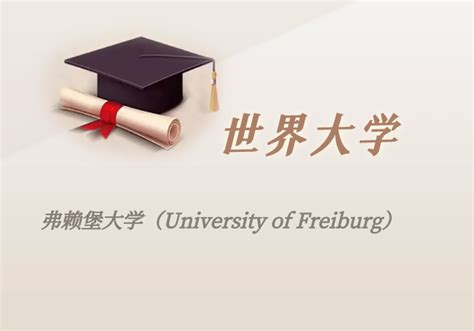弗赖堡大学中国留学生