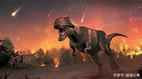 恐龙在哪个时代灭绝