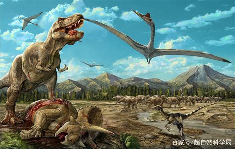 恐龙都灭绝了人类又是怎么存在的呢