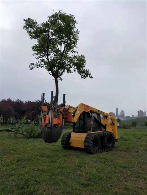 意大利挖树机多少钱