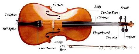 提琴英文