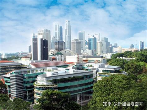 新加坡城市大学