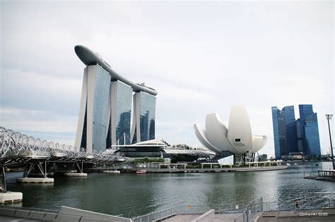 新加坡留学一年