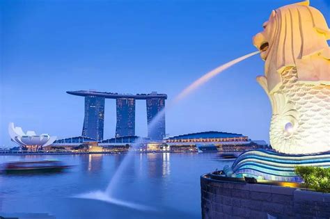 新加坡留学需多少一年配图