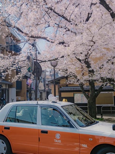 日本京都留学一月的生活费大概多少配图