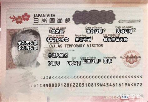 日本留学签证类型