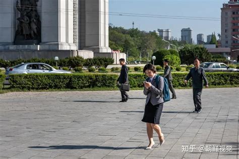 朝鲜留学有多少人