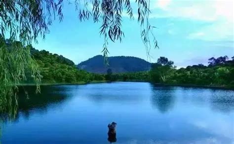深圳平湖好玩的地方