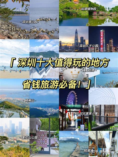 深圳旅游官网(深圳旅游官网招聘)