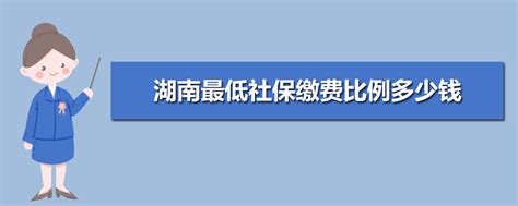 湖南企业社保登录网站