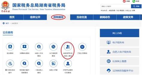 湖南省税务门户网站