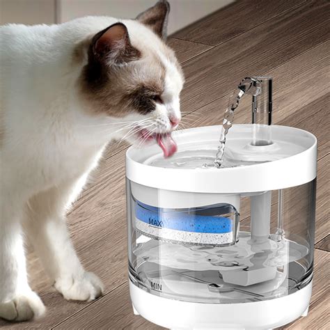 猫饮水量