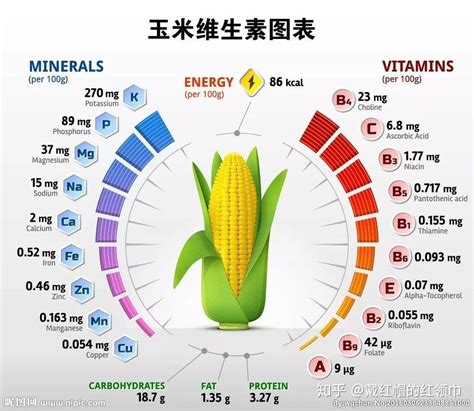 玉米营养价值 (玉米营养价值功效作用)