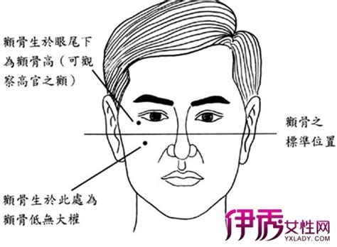 男人颧骨高的人面相怎么样
