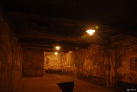 纳粹集中营毒气室