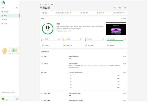 网站seo报告