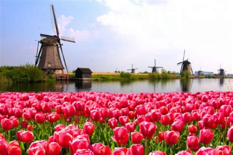 荷兰留学费用一般多少配图