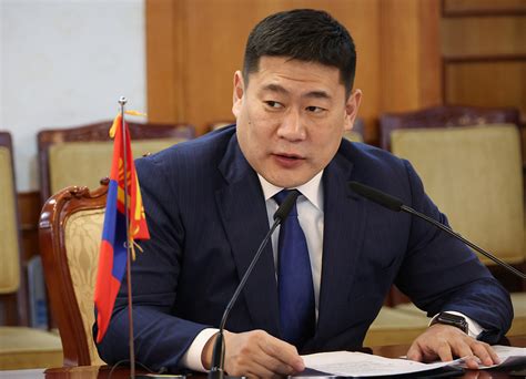 蒙古国新总统涉华言论
