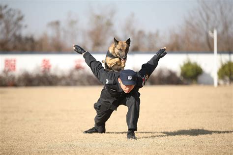 警犬训练基地